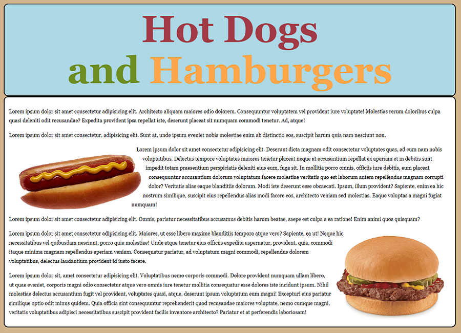 Hotdogs and Hamburgers